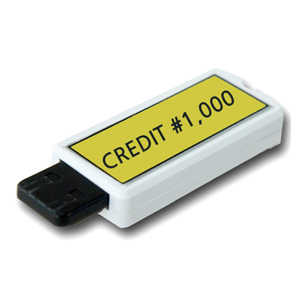 통합 USB CREDIT (1,000credit)